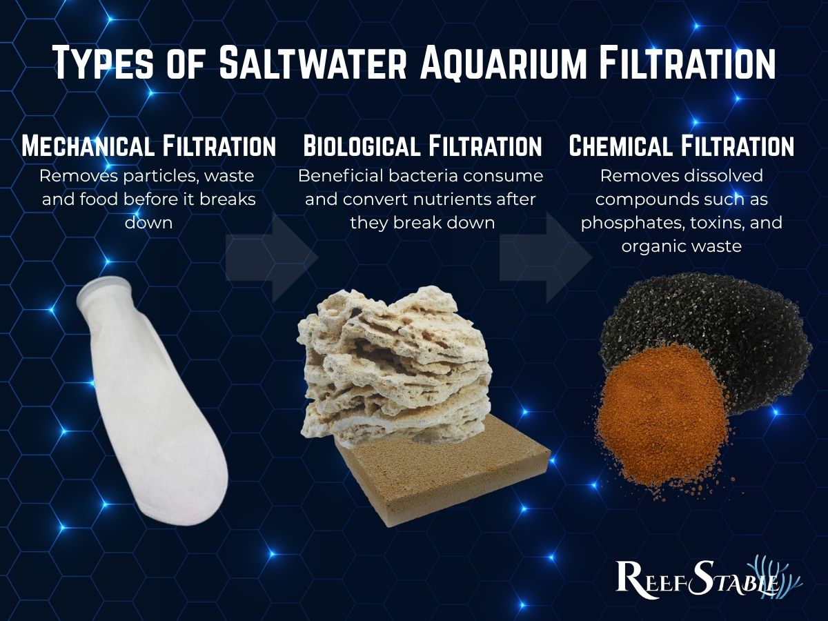 Types of Saltwater Filtration