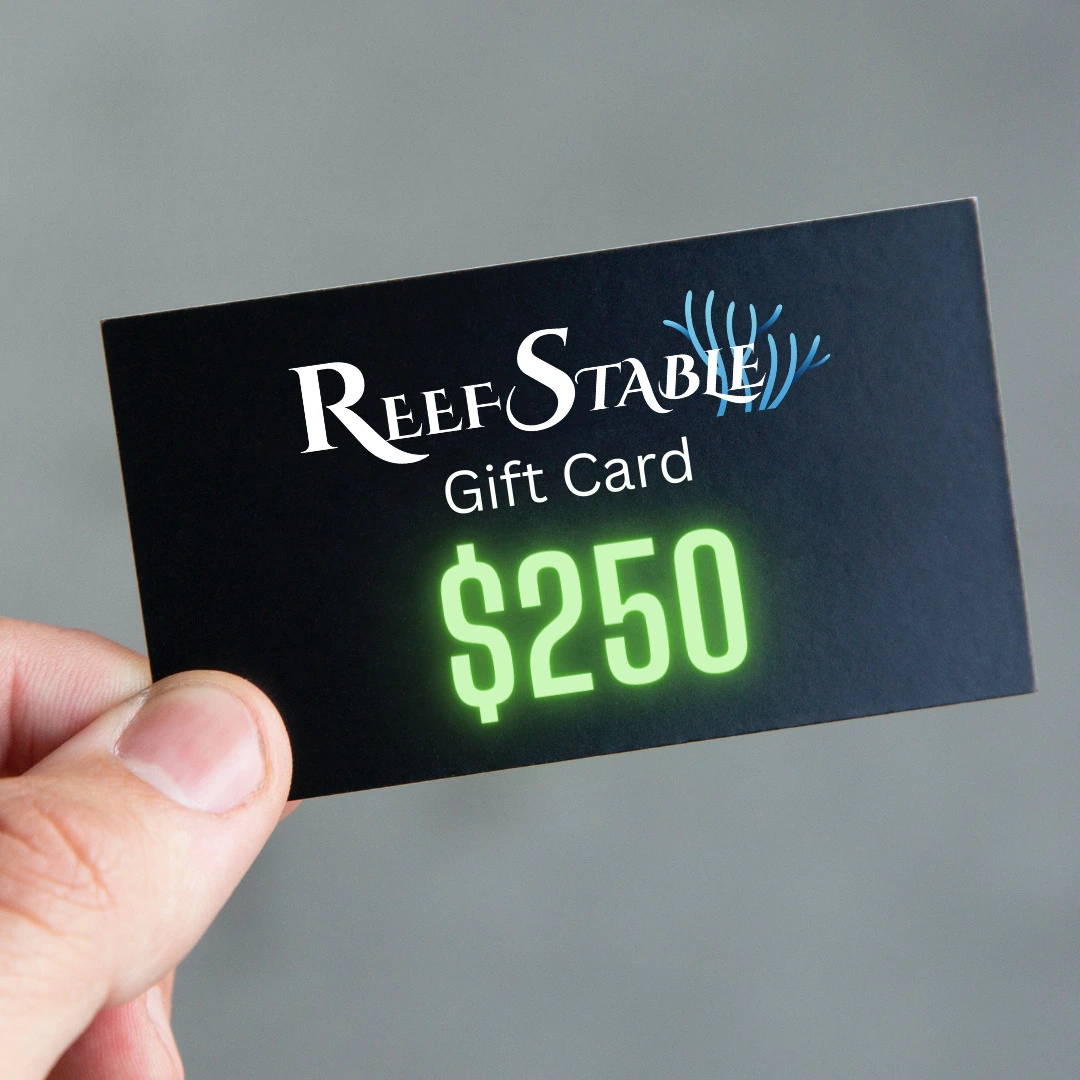 Reef Stable Gift Card ($250)