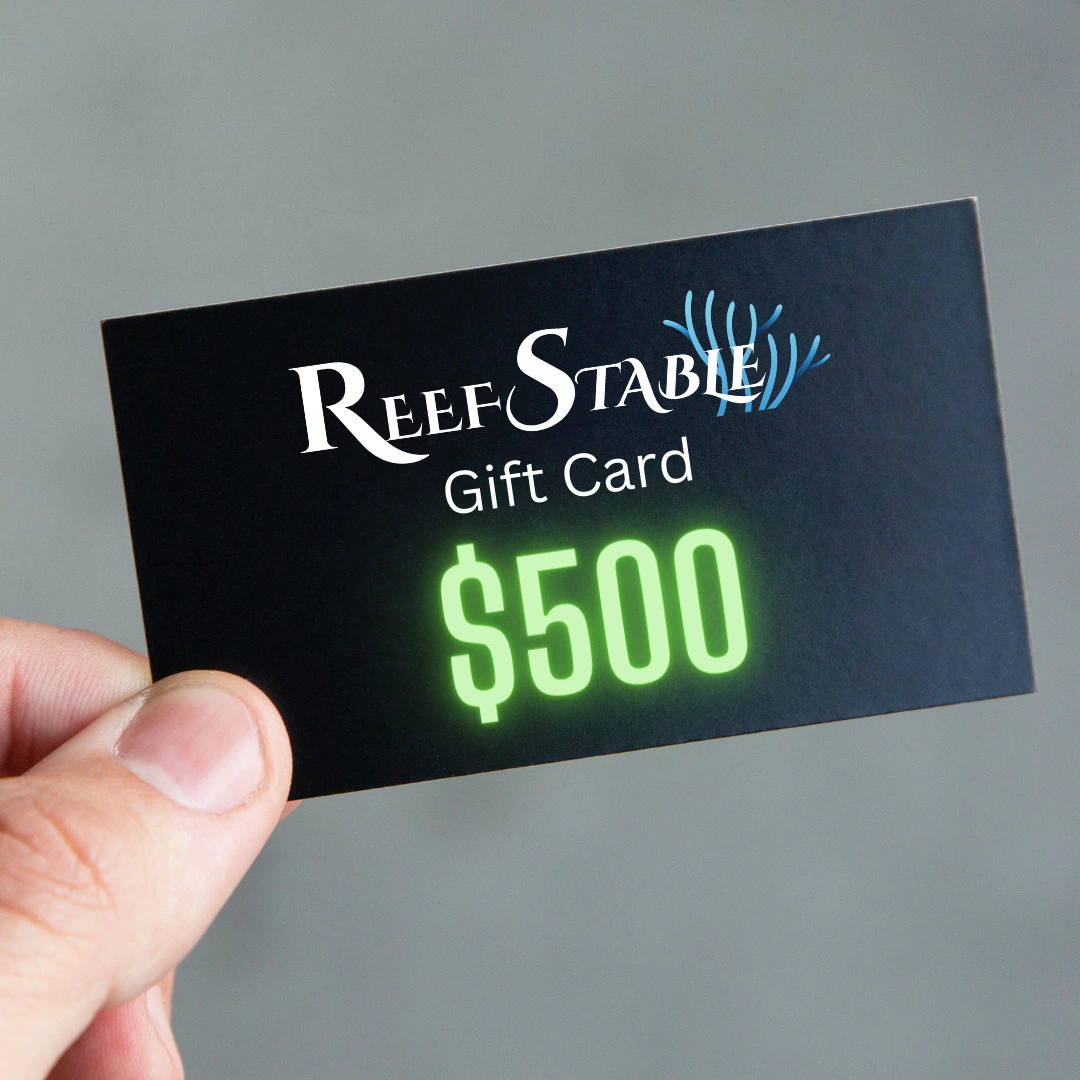 Reef Stable Gift Card ($500)